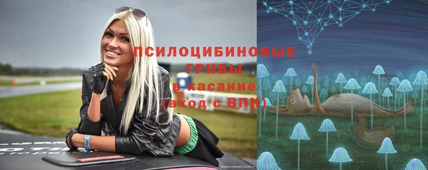 молекула духа Бронницы