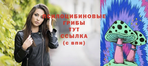 молекула духа Бронницы