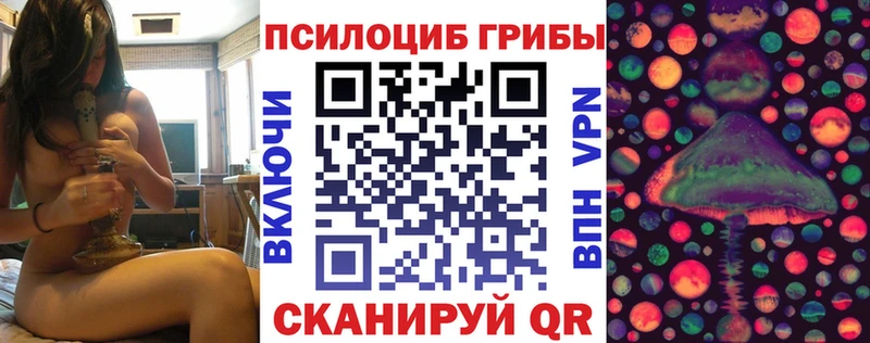 Псилоцибиновые грибы MAGIC MUSHROOMS  как найти закладки  Берёзовка 